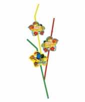 Goedkope hawaii rietjes 6 stuks barbecue